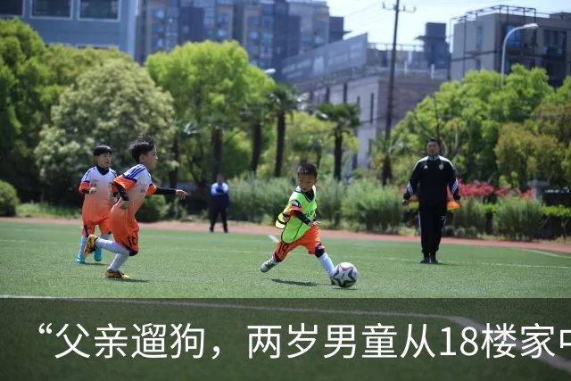 “父亲遛狗，两岁男童从18楼家中坠亡”，男童母亲：警方已就她控告丈夫涉嫌过失致人死亡一事，作出不予立案决定