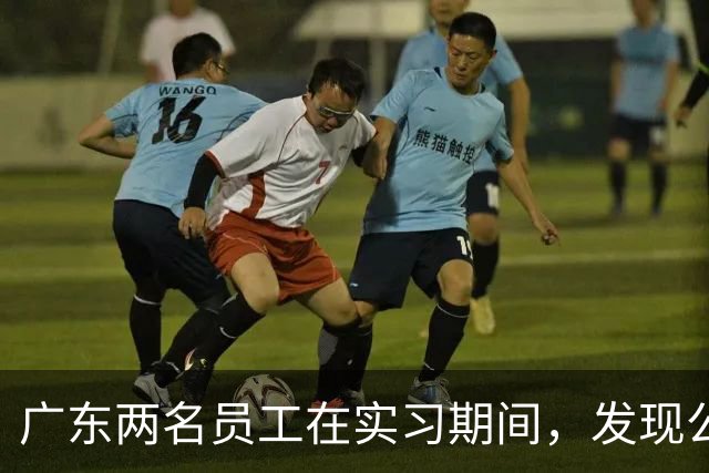 广东两名员工在实习期间，发现公司印刷的二维码可以扫码领红包，盗取100万条红包链接数据，获利33万元，法院判了