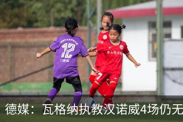 德媒：瓦格纳执教汉诺威4场仍无首胜，杯赛0-2出局