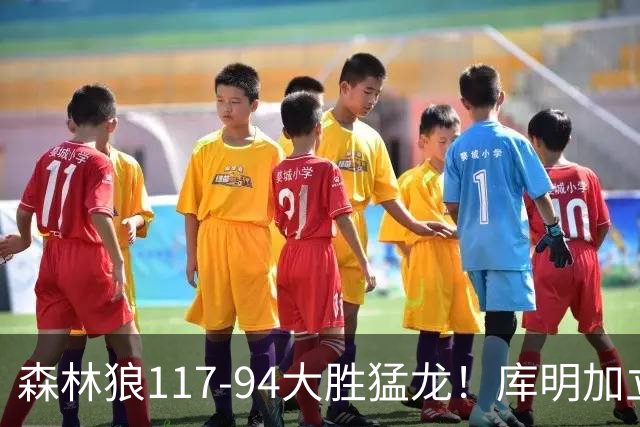 森林狼117-94大胜猛龙！库明加立大功，此战看到4个事实：8换2交易很值得