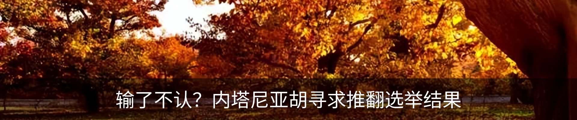 新闻中心