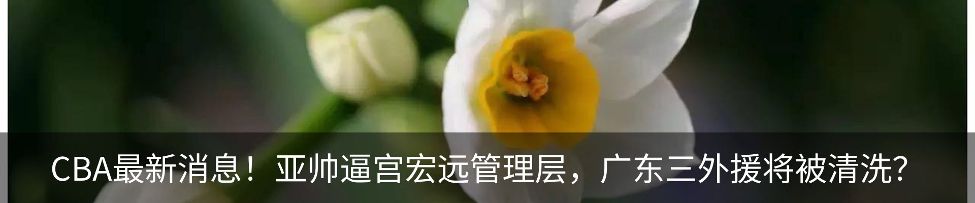 新闻中心